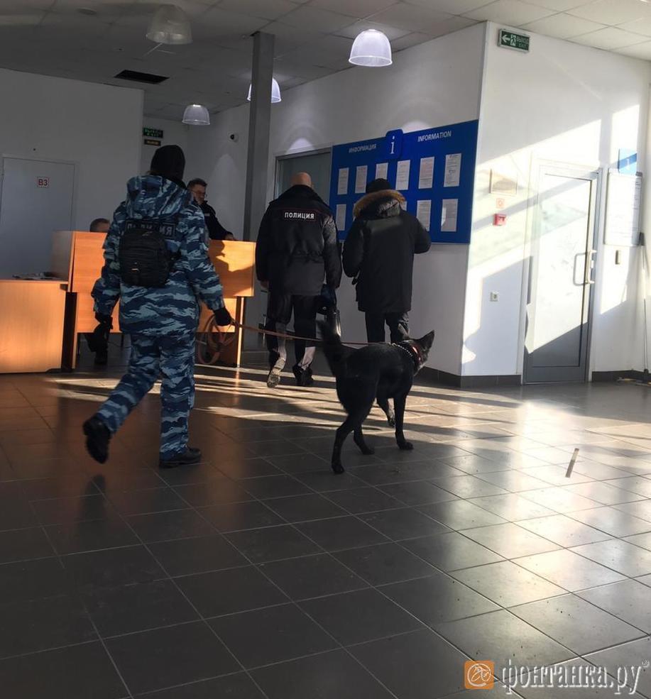 автор: Максим Хлопов